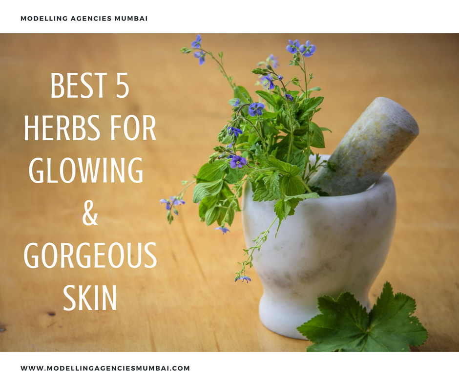 Best Five Herbs For Glowing & Gorgeous Skin